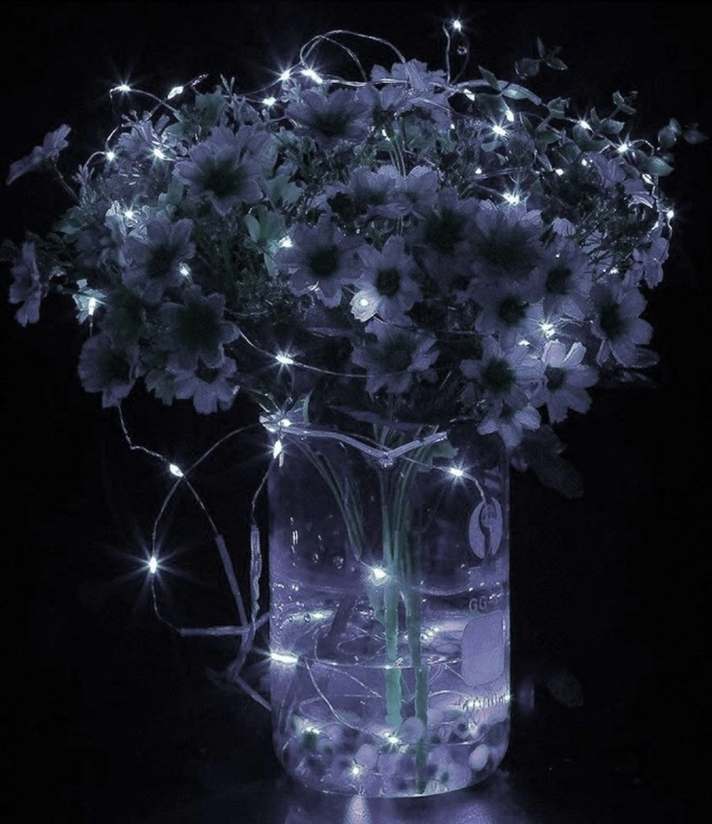 Lumières De Éclairage De Noël Springos | Intérieur & Extérieur | 30 M + 3 M De Cordon | 300 LED | Télécommande Incluse | Blanc Froid 8 Lumières De Éclairage De Noël Springos | Intérieur & Extérieur | 30 M + 3 M De Cordon | 300 LED | Télécommande Incluse | Blanc Froid – Image 6