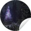 Garden Circle Sapin De Noël Lumineux Dans Une Forêt Sombre - 120x120 Cm - Affiche De Jardin Ronde - Extérieur - XXL
