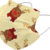 Masque Buccal De Noël Masque Buccal Jetable Noël Universel - Mondkap Jetable Non Medisch Renne