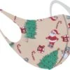 Masque Facial Masque Facial Lavable De Noël Mondkapjes Non Medisch - Crème