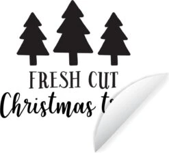 Citation Arbres De Noël Fraîchement Coupés Sur Fond Blanc Sticker Mural Cercle Mural - ⌀ 120 Cm - Peinture Ronde - Cercle Papier Peint - Cercle Mural - Cercle Vivant - Autocollant & Coupe Ronde