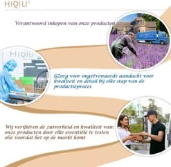 Huiles Essentielles 6 Pièces - 100 % Pures Et Naturelles - Coffret Cadeau De Noël - Huile Parfumée - Aroma Pour Diffuseur D'arômes - Coffret D'huiles Essentielles - Cannelle, Feuille D'automne, Cidre De Pomme, Citrouille, Vanille & Épice De Récolte -Jingle Bells Boutique 1200x1173 20