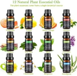 Huiles 12 Pièces - 100% Pures Et Naturelles - Convient Pour Diffuseur D' Aroma - Ensemble D'huiles Essentielles - Biologiquement Prouvé - Aroma Biologique - Le Meilleur Ensemble De Parfums éprouvés - Cadeau - Cadeau - Noël -Jingle Bells Boutique 1200x1190 9