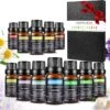 Huiles 12 Pièces - 100% Pures Et Naturelles - Convient Pour Diffuseur D' Aroma - Ensemble D'huiles Essentielles - Biologiquement Prouvé - Aroma Biologique - Le Meilleur Ensemble De Parfums éprouvés - Cadeau - Cadeau - Noël