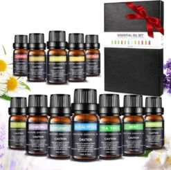 Huiles 12 Pièces - 100% Pures Et Naturelles - Convient Pour Diffuseur D' Aroma - Ensemble D'huiles Essentielles - Biologiquement Prouvé - Aroma Biologique - Le Meilleur Ensemble De Parfums éprouvés - Cadeau - Cadeau - Noël