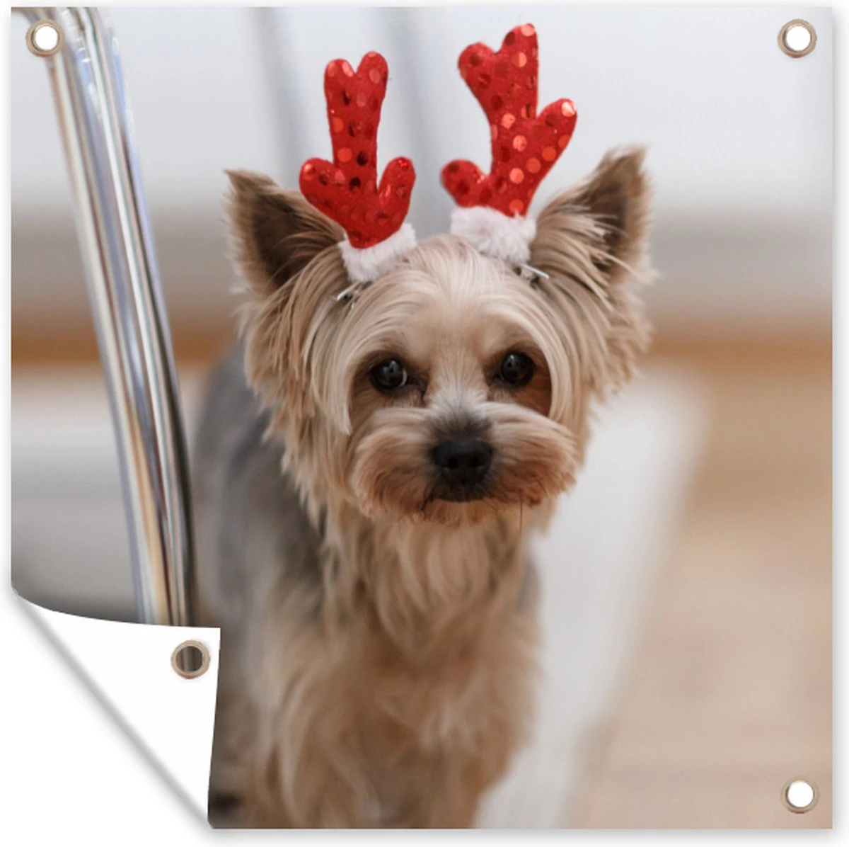 Affiche De Jardin Yorkshire Avec Un Accessoire De Noël - 200x200 Cm - Toile Jardin - Affiche Extérieure 3 Affiche De Jardin Yorkshire Avec Un Accessoire De Noël - 200x200 Cm - Toile Jardin - Affiche Extérieure