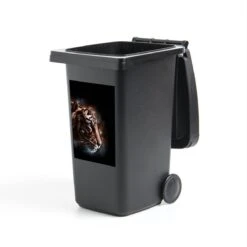 Sticker Conteneur TigreIllustrations De Noël - Image Magique Avec La Tête D'un Tigre Sur Fond Noir