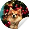 Chien Pendant Noël Sticker Mural Cercle Papier Peint ⌀ 30 Cm / Cercle Papier Peint / Cercle Mural / Cercle Vivant - Auto-adhésif Et Découpe Ronde 2 Chien Pendant Noël Sticker Mural Cercle Papier Peint ⌀ 30 Cm / Cercle Papier Peint / Cercle Mural / Cercle Vivant - Auto-adhésif Et Découpe Ronde -Jingle Bells Boutique 1200x1200 51