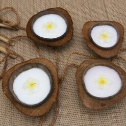 Balivie - Bougie - Bougie Parfumée - Bougie Coco - En Peel - Baliflower - Wit - Aroma Coco - Décoration De Noël 9 Balivie - Bougie - Bougie Parfumée - Bougie Coco - En Peel - Baliflower - Wit - Aroma Coco - Décoration De Noël -Jingle Bells Boutique 1200x1200 635