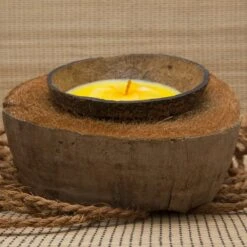 Balivie - Bougie - Bougie Parfumée - Bougie Coco - Noix En Coque - Balifleur - Jaune - Aroma Jasmin - Sinterklaas - Noël