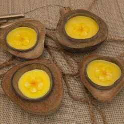 Balivie - Bougie - Bougie Parfumée - Bougie Coco - Noix En Coque - Balifleur - Jaune - Aroma Jasmin - Sinterklaas - Noël -Jingle Bells Boutique 1200x1200 640