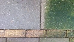 Biomix ATM 5 Litres Contre Les Algues Sur Base Biologique - Convient à Diverse Applications - Cadeau De Noël - Black Friday -Jingle Bells Boutique 1200x682