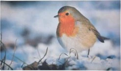 Paillasson Robin 75 Cm X 45,4 Cm - Paillasson - Paillasson - Antidérapant - Pour L'intérieur Et L'extérieur - Cadeau - Cadeau - Cadeau - Nouvel An - Noël - Anniversaire