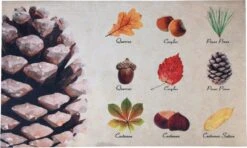 Paillasson Arbres 75 Cm X 45,4 Cm - Paillasson - Paillasson - Antidérapant - Pour Intérieur Et Extérieur - Cadeau - Cadeau - Cadeau - Nouvel An - Noël - Anniversaire