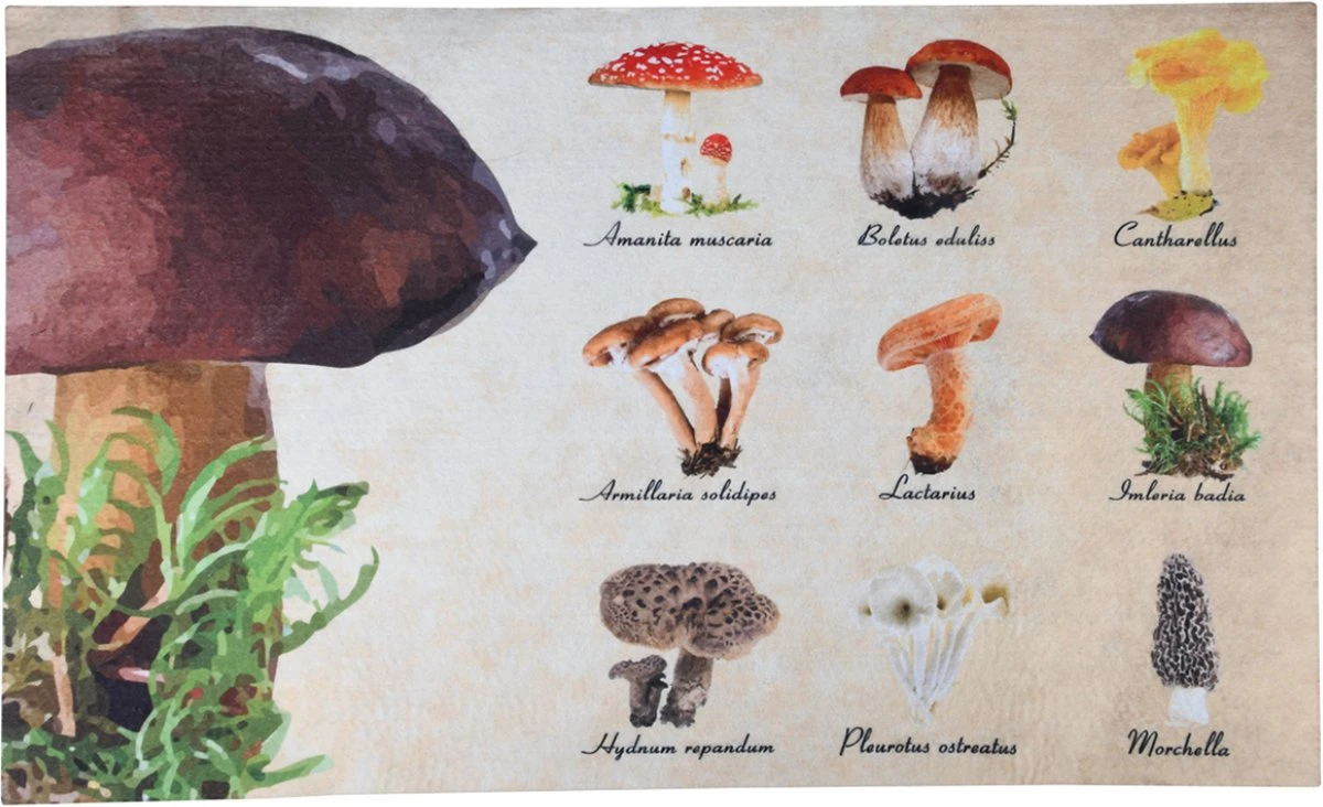Paillasson Champignons 75 Cm X 45,4 Cm - Paillasson - Paillasson - Antidérapant - Pour Intérieur Et Extérieur - Cadeau - Cadeau - Nouvel An - Noël - Anniversaire 3 Paillasson Champignons 75 Cm X 45,4 Cm - Paillasson - Paillasson - Antidérapant - Pour Intérieur Et Extérieur - Cadeau - Cadeau - Nouvel An - Noël - Anniversaire