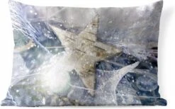 Coussins D'extérieur - Jardin - Une étoile De Noël Avec De La Glace - 60x40 Cm
