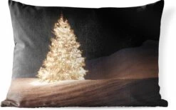 Coussins D'extérieur - Jardin - Un Sapin De Noël Illuminé La Nuit - 60x40 Cm
