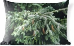 Coussins D'extérieur - Jardin - Gros Plan D'un Sapin De Noël Près D'une Forêt Aux États-Unis - 60x40 Cm