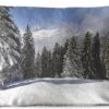 Coussins D'extérieur - Jardin - Les Arbres Enneigés Des Montagnes Créent Une Ambiance De Noël - 50x30 Cm 2 Coussins D'extérieur - Jardin - Les Arbres Enneigés Des Montagnes Créent Une Ambiance De Noël - 50x30 Cm -Jingle Bells Boutique 1200x748 3