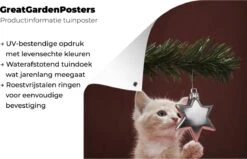 Chaton Touchant Affiche De Jardin De Boule De Noël Toile En Vrac 80x120 Cm - Toile De Jardin / Toile D'extérieur / Peintures Pour L'extérieur (décoration De Jardin) -Jingle Bells Boutique 1200x772 16