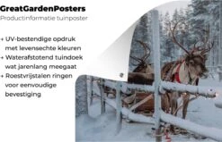 Affiche De Jardin Un Renne Au Village Du Père Noël En Finlande 180x120 Cm - Toile De Jardin / Toile D'extérieur / Peintures D'extérieur (décoration De Jardin) XXL / Groot Format! -Jingle Bells Boutique 1200x772 21