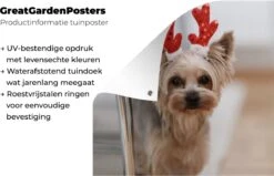 Affiche De Jardin Yorkshire Avec Un Accessoire De Noël - 200x200 Cm - Toile Jardin - Affiche Extérieure 11 Affiche De Jardin Yorkshire Avec Un Accessoire De Noël - 200x200 Cm - Toile Jardin - Affiche Extérieure -Jingle Bells Boutique 1200x772 28