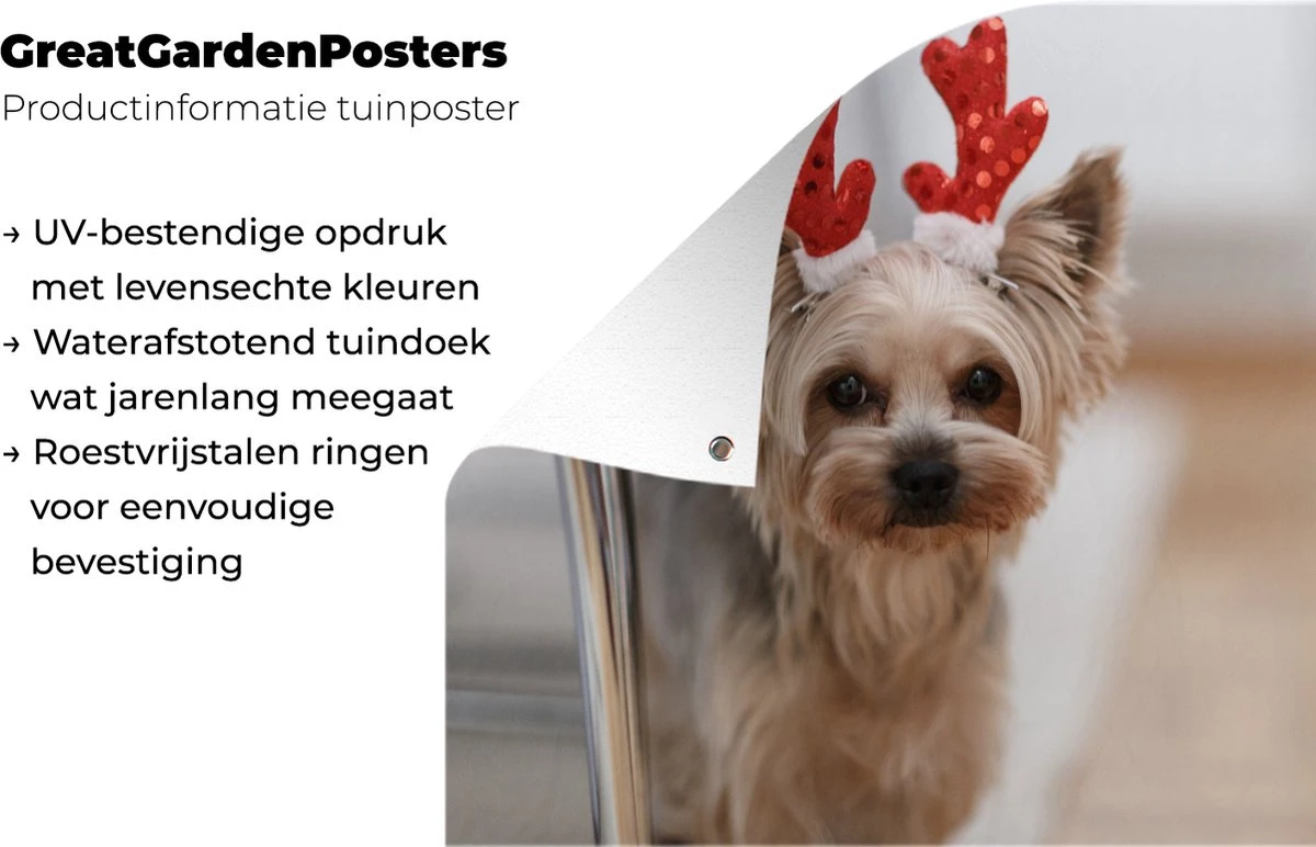 Affiche De Jardin Yorkshire Avec Un Accessoire De Noël - 200x200 Cm - Toile Jardin - Affiche Extérieure 6 Affiche De Jardin Yorkshire Avec Un Accessoire De Noël - 200x200 Cm - Toile Jardin - Affiche Extérieure – Image 4