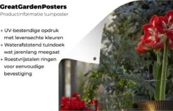 Affiche De Jardin Plusieurs Roses De Noël Sur Une Fenêtre 40x60 Cm - Petit - Toile De Jardin / Toile D'extérieur / Peintures D'extérieur (décoration De Jardin) -Jingle Bells Boutique 1200x772 29