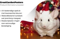 Décoration De Jardin Un Chinchilla Witte Porte Un Chapeau De Noël - 40x30 Cm - Toile De Jardin - Poster Extérieur -Jingle Bells Boutique 1200x772 50