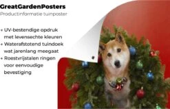 Shiba Chien Avec Une Guirlande De Noël Affiche De Jardin Toile En Vrac 30x40 Cm - Petit - Toile De Jardin / Toile D'extérieur / Peintures Pour L'extérieur (décoration De Jardin) -Jingle Bells Boutique 1200x772 61