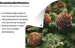 Un Gros Plan De Pommes De Pin Près Du Sapin De Noël Affiche De Jardin 30x40 Cm - Petit - Toile De Jardin / Toile D'extérieur / Peintures Pour L'extérieur (décoration De Jardin) -Jingle Bells Boutique 1200x772 63