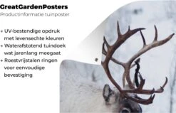 Décoration Murale Murale D'extérieur Une Photo De Noël De Rennes Sur Les Routes Du Kilpisjarvi Finlandais - 80x160 Cm 9 Décoration Murale Murale D'extérieur Une Photo De Noël De Rennes Sur Les Routes Du Kilpisjarvi Finlandais - 80x160 Cm -Jingle Bells Boutique 1200x772 7