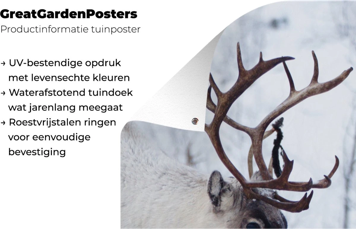 Décoration Murale Murale D'extérieur Une Photo De Noël De Rennes Sur Les Routes Du Kilpisjarvi Finlandais - 80x160 Cm 4 Décoration Murale Murale D'extérieur Une Photo De Noël De Rennes Sur Les Routes Du Kilpisjarvi Finlandais - 80x160 Cm – Image 2