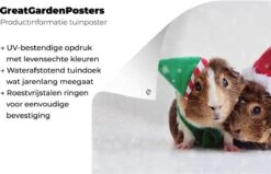 Affiche De Jardin Cavias Déguisée En Elfe Et Père Noël 90x60 Cm - Toile De Jardin / Toile D'extérieur / Peintures D'extérieur (décoration De Jardin) -Jingle Bells Boutique 1200x772 79