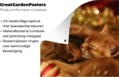 Affiche Jardin - Toile Posters De Jardin Extérieur - Chatons Endormis Et Maman Chat Entre Les Décorations De Noël - 90x120 Cm - Jardin -Jingle Bells Boutique 1200x773 1