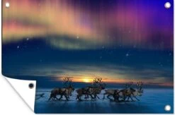Décoration Murale Aurores Boréales - Père Noël - Traîneau - Orignal - 180x120 Cm - Affiche Jardin