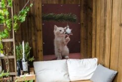 Chaton Touchant Affiche De Jardin De Boule De Noël Toile En Vrac 80x120 Cm - Toile De Jardin / Toile D'extérieur / Peintures Pour L'extérieur (décoration De Jardin) -Jingle Bells Boutique 1200x800 1192