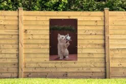 Chaton Touchant Affiche De Jardin De Boule De Noël Toile En Vrac 80x120 Cm - Toile De Jardin / Toile D'extérieur / Peintures Pour L'extérieur (décoration De Jardin) -Jingle Bells Boutique 1200x800 1193