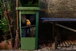 Sticker Conteneur Oiseaux Illustrations De Noël - Oiseau Multicolore Sur Fond Noir 13 Sticker Conteneur Oiseaux Illustrations De Noël - Oiseau Multicolore Sur Fond Noir -Jingle Bells Boutique 1200x800 1238