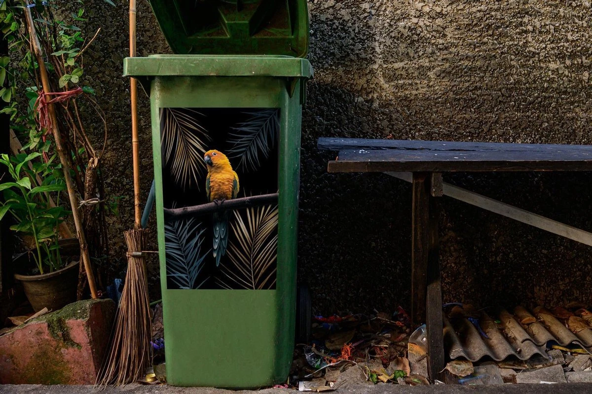 Sticker Conteneur Oiseaux Illustrations De Noël - Oiseau Multicolore Sur Fond Noir 8 Sticker Conteneur Oiseaux Illustrations De Noël - Oiseau Multicolore Sur Fond Noir – Image 6