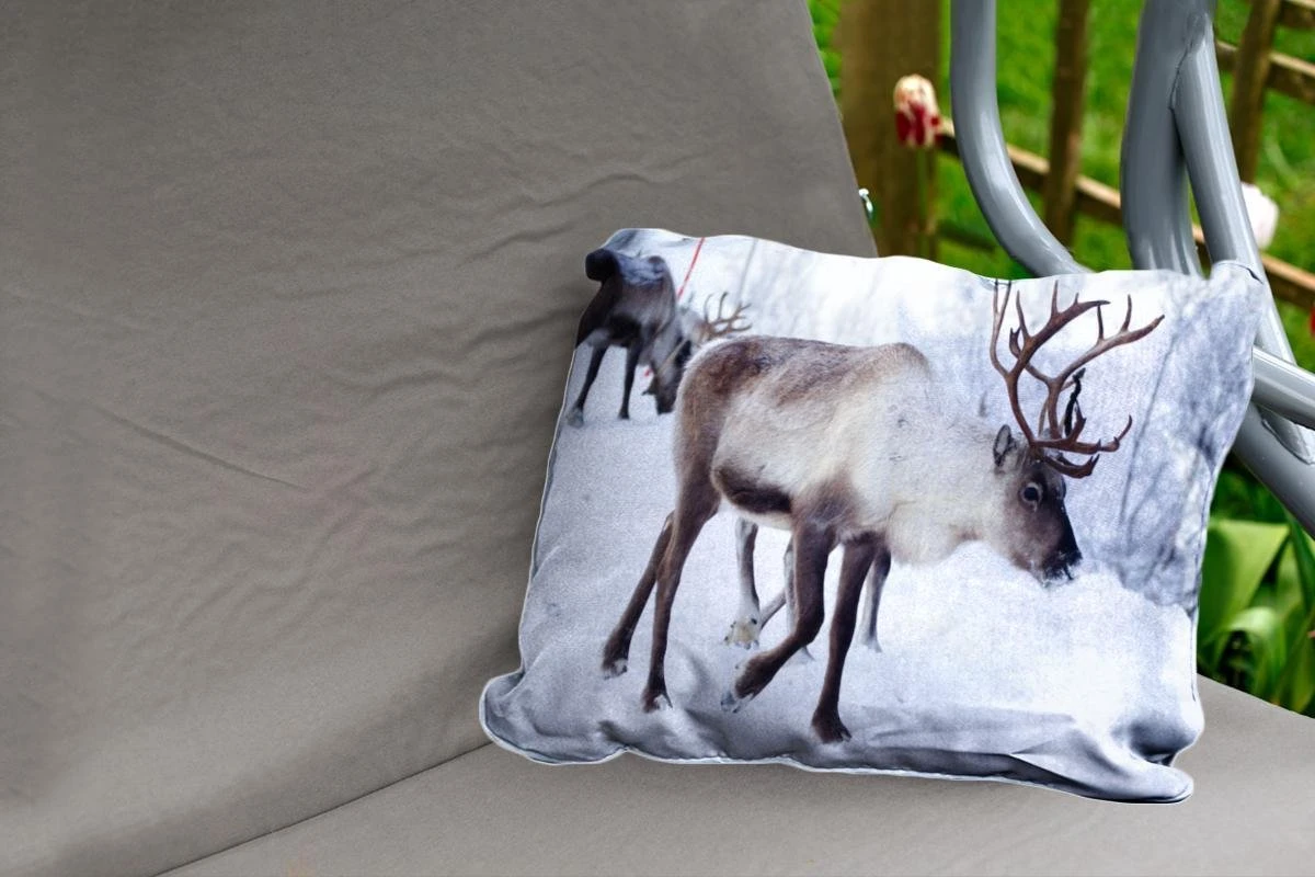 Coussins D'extérieur - Jardin - Une Photo De Noël De Rennes Sur Les Routes Du Kilpisjarvi Finlandais - 60x40 Cm 4 Coussins D'extérieur - Jardin - Une Photo De Noël De Rennes Sur Les Routes Du Kilpisjarvi Finlandais - 60x40 Cm – Image 2