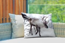 Coussins D'extérieur - Jardin - Une Photo De Noël De Rennes Sur Les Routes Du Kilpisjarvi Finlandais - 60x40 Cm 9 Coussins D'extérieur - Jardin - Une Photo De Noël De Rennes Sur Les Routes Du Kilpisjarvi Finlandais - 60x40 Cm -Jingle Bells Boutique 1200x800 1285