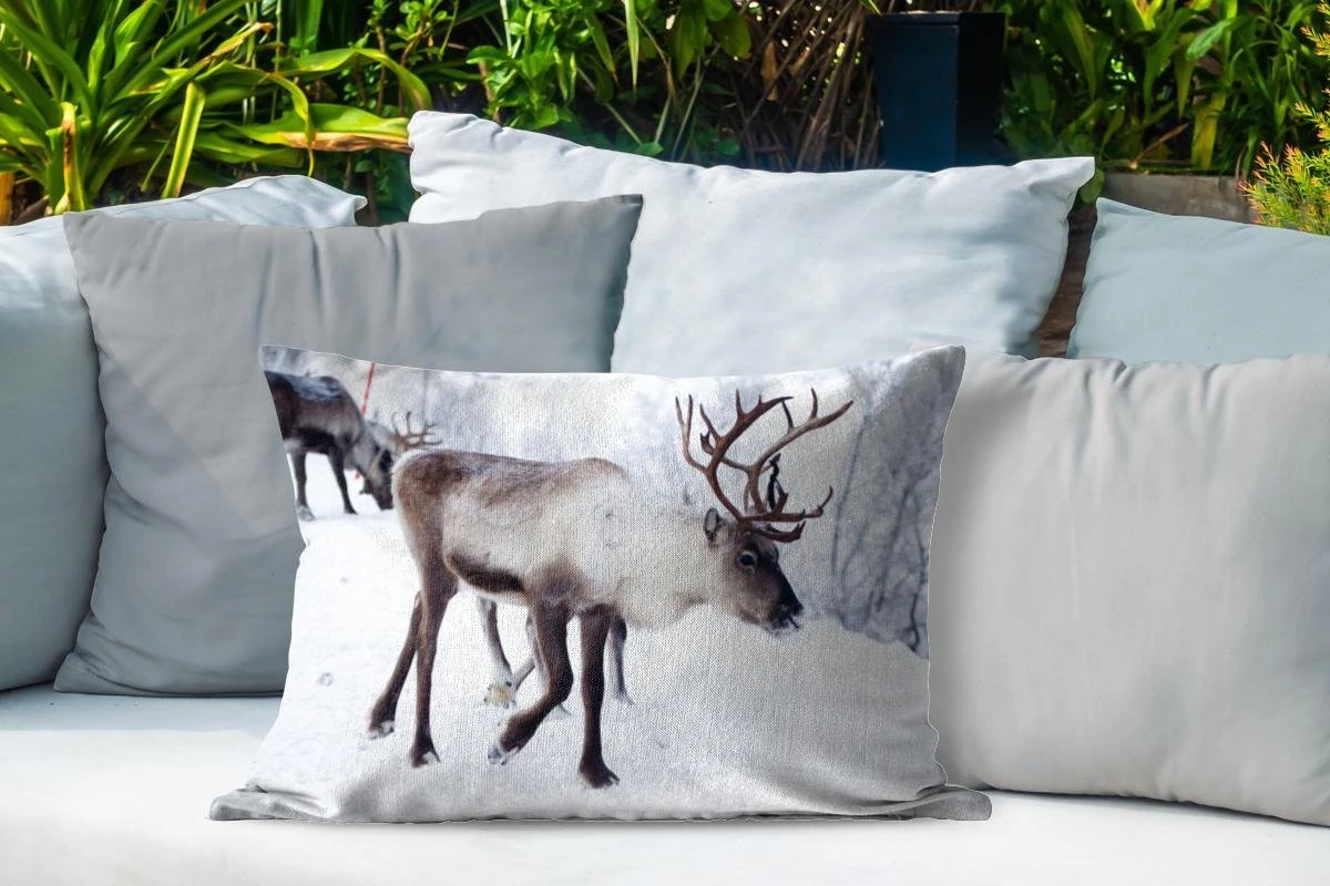 Coussins D'extérieur - Jardin - Une Photo De Noël De Rennes Sur Les Routes Du Kilpisjarvi Finlandais - 60x40 Cm 6 Coussins D'extérieur - Jardin - Une Photo De Noël De Rennes Sur Les Routes Du Kilpisjarvi Finlandais - 60x40 Cm – Image 4