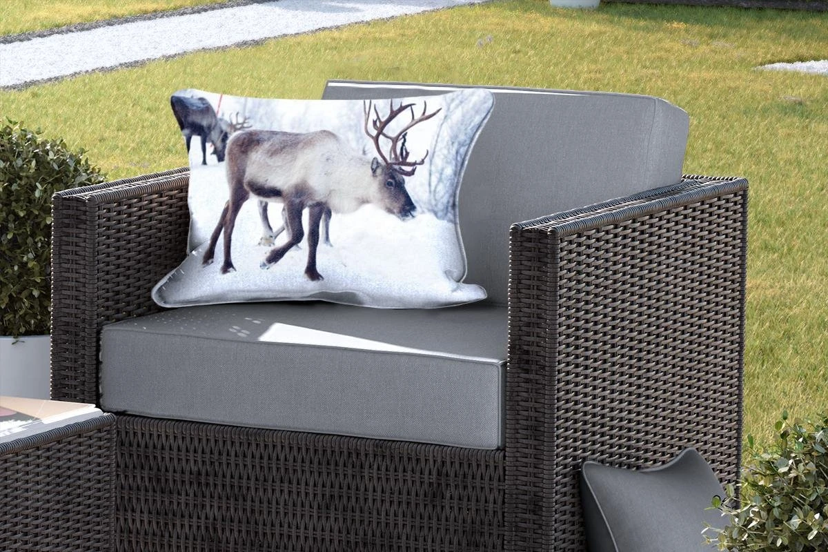 Coussins D'extérieur - Jardin - Une Photo De Noël De Rennes Sur Les Routes Du Kilpisjarvi Finlandais - 60x40 Cm 7 Coussins D'extérieur - Jardin - Une Photo De Noël De Rennes Sur Les Routes Du Kilpisjarvi Finlandais - 60x40 Cm – Image 5