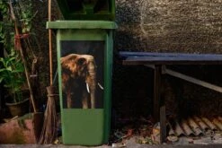 Sticker Conteneur Éléphantillustrations De Noël - Éléphant Sur Fond Noir -Jingle Bells Boutique 1200x800 1318