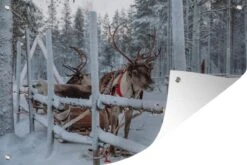 Affiche De Jardin Un Renne Au Village Du Père Noël En Finlande 180x120 Cm - Toile De Jardin / Toile D'extérieur / Peintures D'extérieur (décoration De Jardin) XXL / Groot Format!
