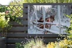 Affiche De Jardin Un Renne Au Village Du Père Noël En Finlande 180x120 Cm - Toile De Jardin / Toile D'extérieur / Peintures D'extérieur (décoration De Jardin) XXL / Groot Format! -Jingle Bells Boutique 1200x800 1405