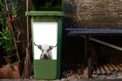 Autocollant De Conteneur Scottish HighlanderIllustrations De Noël - Highlander écossais Sur Fond Blanc -Jingle Bells Boutique 1200x800 1458