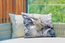 Coussins D'extérieur - Jardin - Une étoile De Noël Avec De La Glace - 60x40 Cm -Jingle Bells Boutique 1200x800 1515