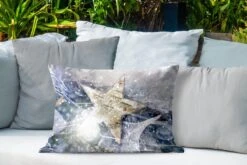 Coussins D'extérieur - Jardin - Une étoile De Noël Avec De La Glace - 60x40 Cm -Jingle Bells Boutique 1200x800 1516